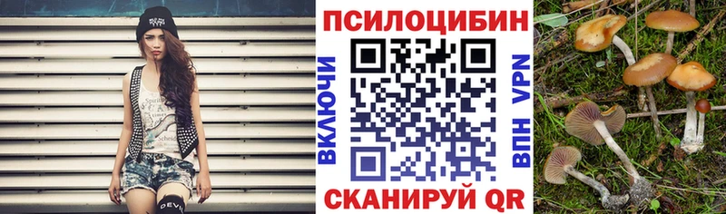 Псилоцибиновые грибы прущие грибы Пыть-Ях