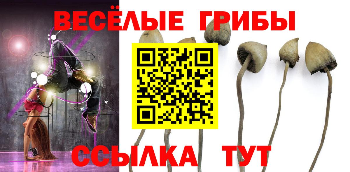 Галлюциногенные грибы прущие грибы  Вход с VPN  Псилоцибиновые грибы GOLDEN TEACHER  Пыть-Ях 